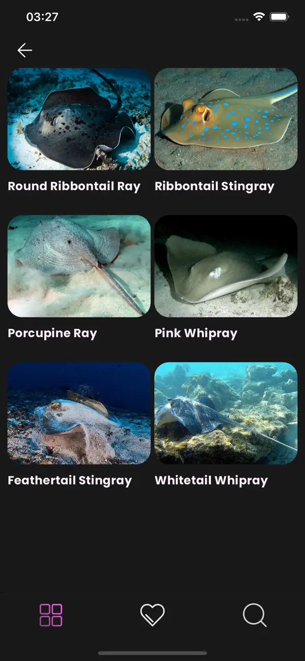 Screenshot #3 pour Maldivian Fish Guide