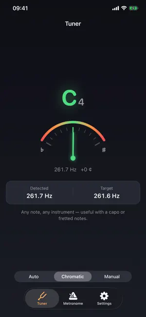 StrumTune screenshot 2