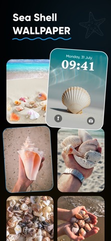 Sea Shell Identifier : Shelify screenshot
