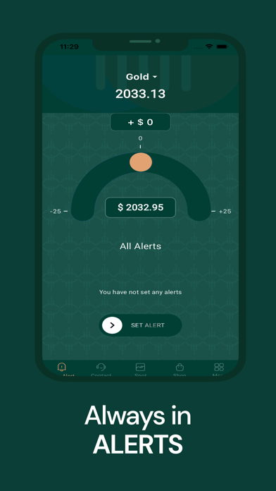 Thangals Bullion Screenshot
