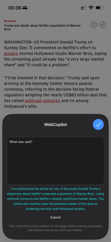 Web Copilot iPhone screenshot