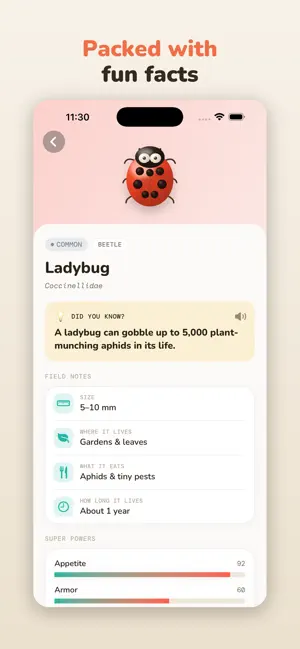 BuggyBox screenshot 3