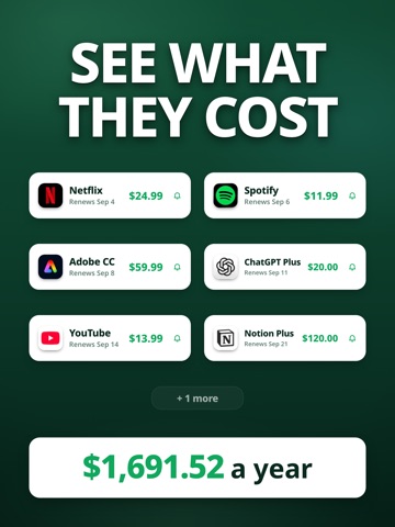 Subscription Tracker - Subi iPad screenshot