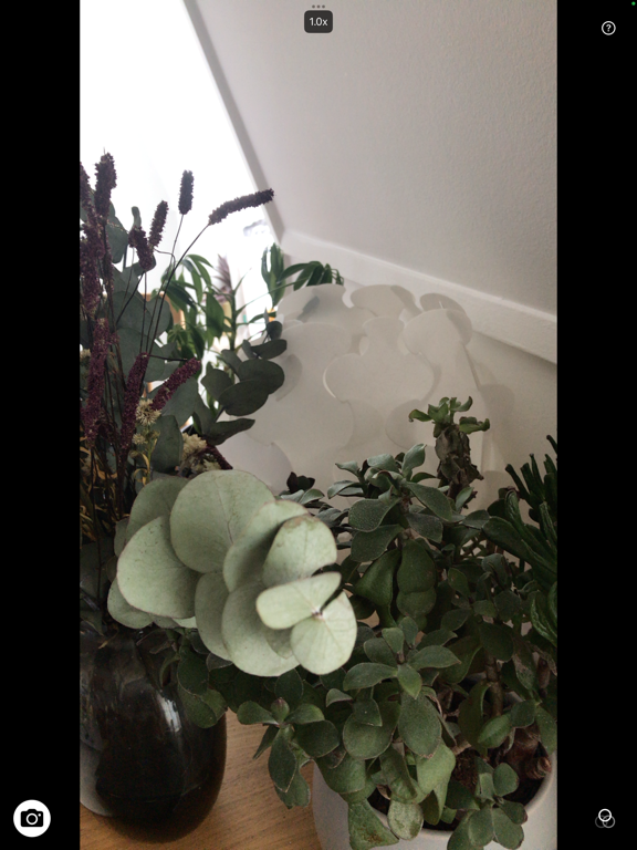 Screenshot #4 pour ArtSight