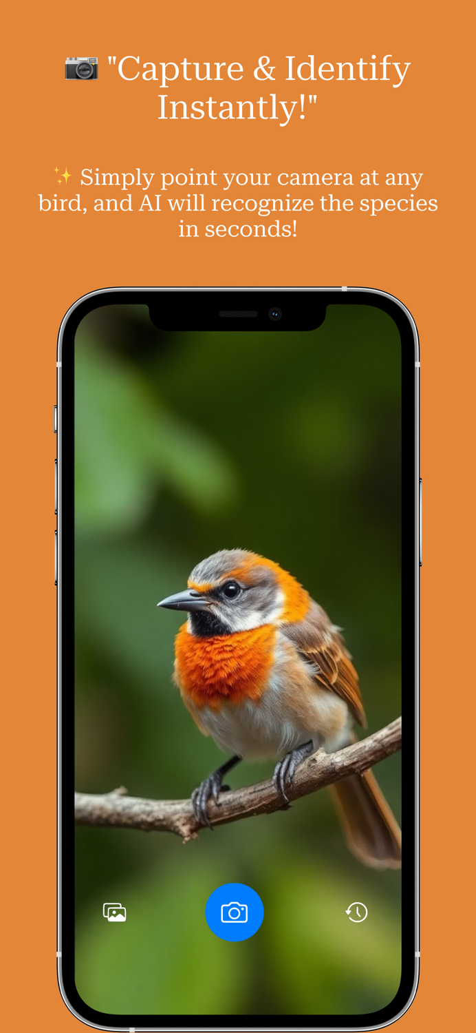 bird identifier bird watching