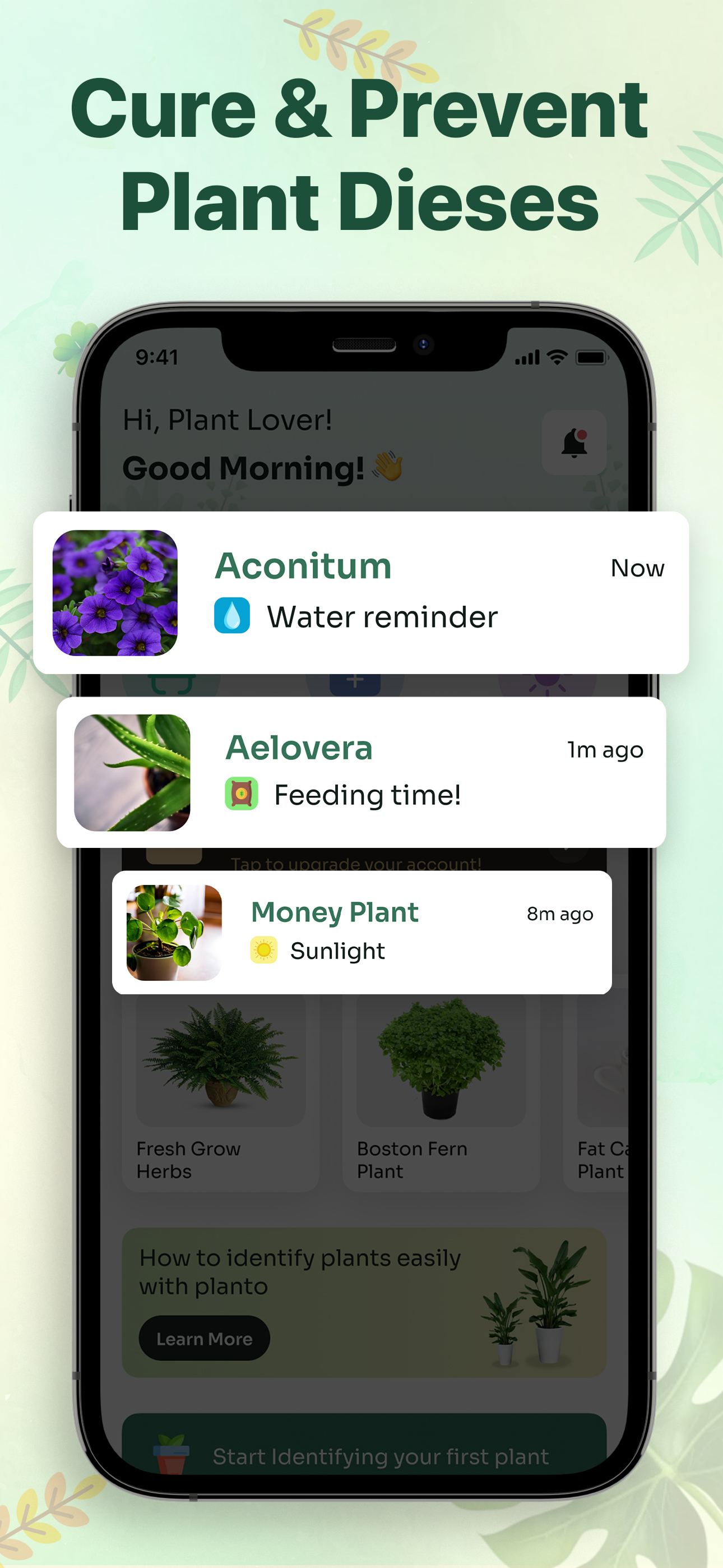 Plant Identifier • Plants App