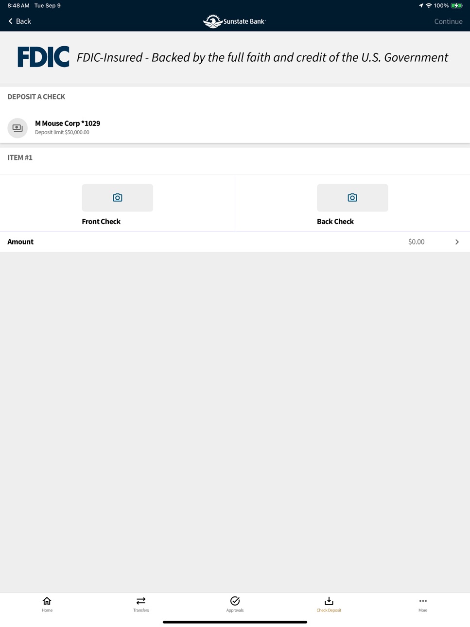 iPad screenshot