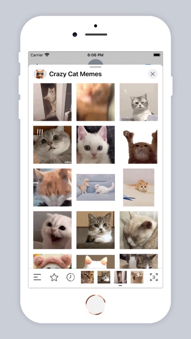 Screenshot #3 pour Crazy Cat Memes