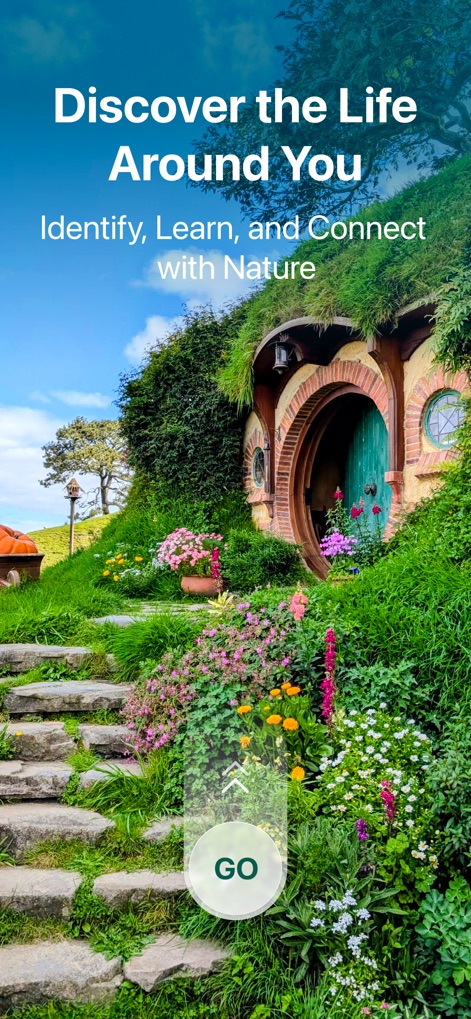 PlantLush: Plant ID & Care Pro - Dieses Tool lädt dazu ein, die umliegende Natur zu erkunden, dargestellt durch eine malerische grüne Landschaft und den prominenten "GO"-Button am unteren Bildschirmrand.