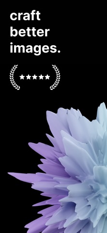 Brandly: Brand Visuals AI screenshot