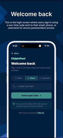 ChipInPool screenshot