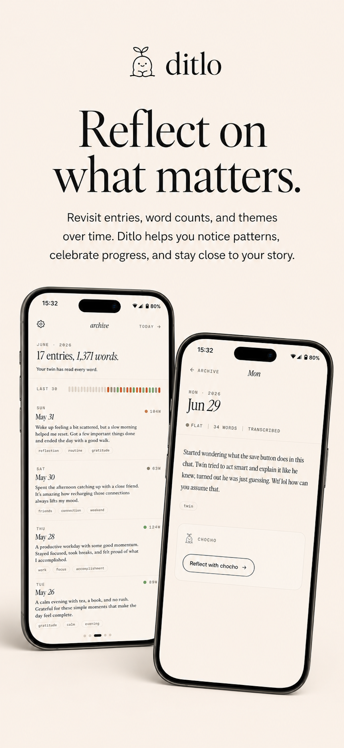 Ditlo Diary screenshot 2