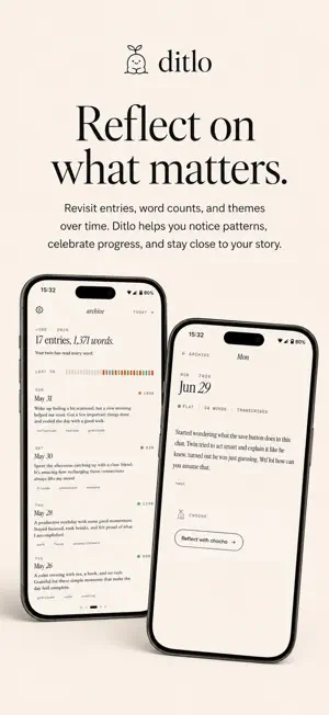 Ditlo Diary screenshot 2