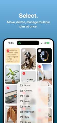Pinpin - Moodboard screenshot