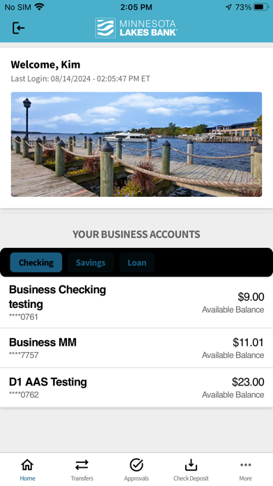 MNLB Business Mobile Screenshot