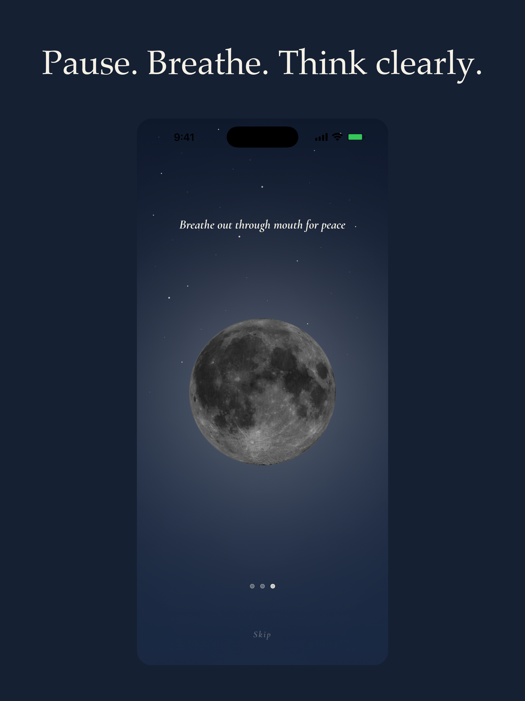 Pauseplease screenshot 10
