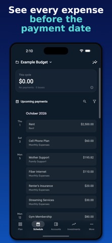 Liquify: Box Budget Screenshot 3 of 8