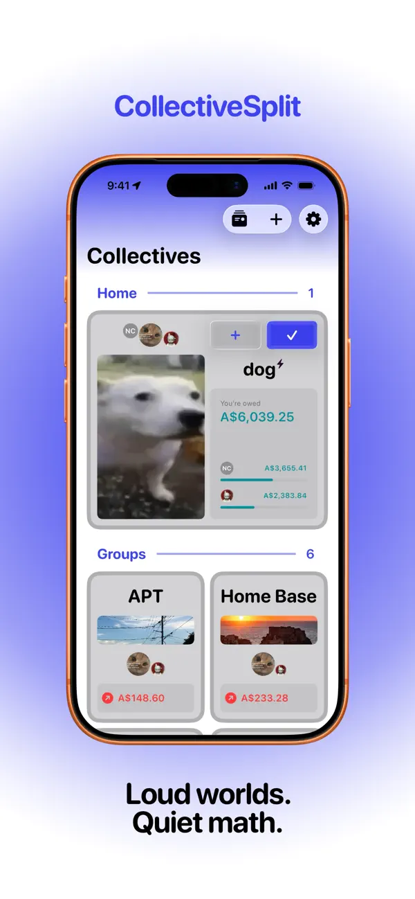 Screenshot #1 pour CollectiveSplit: Resolve Costs