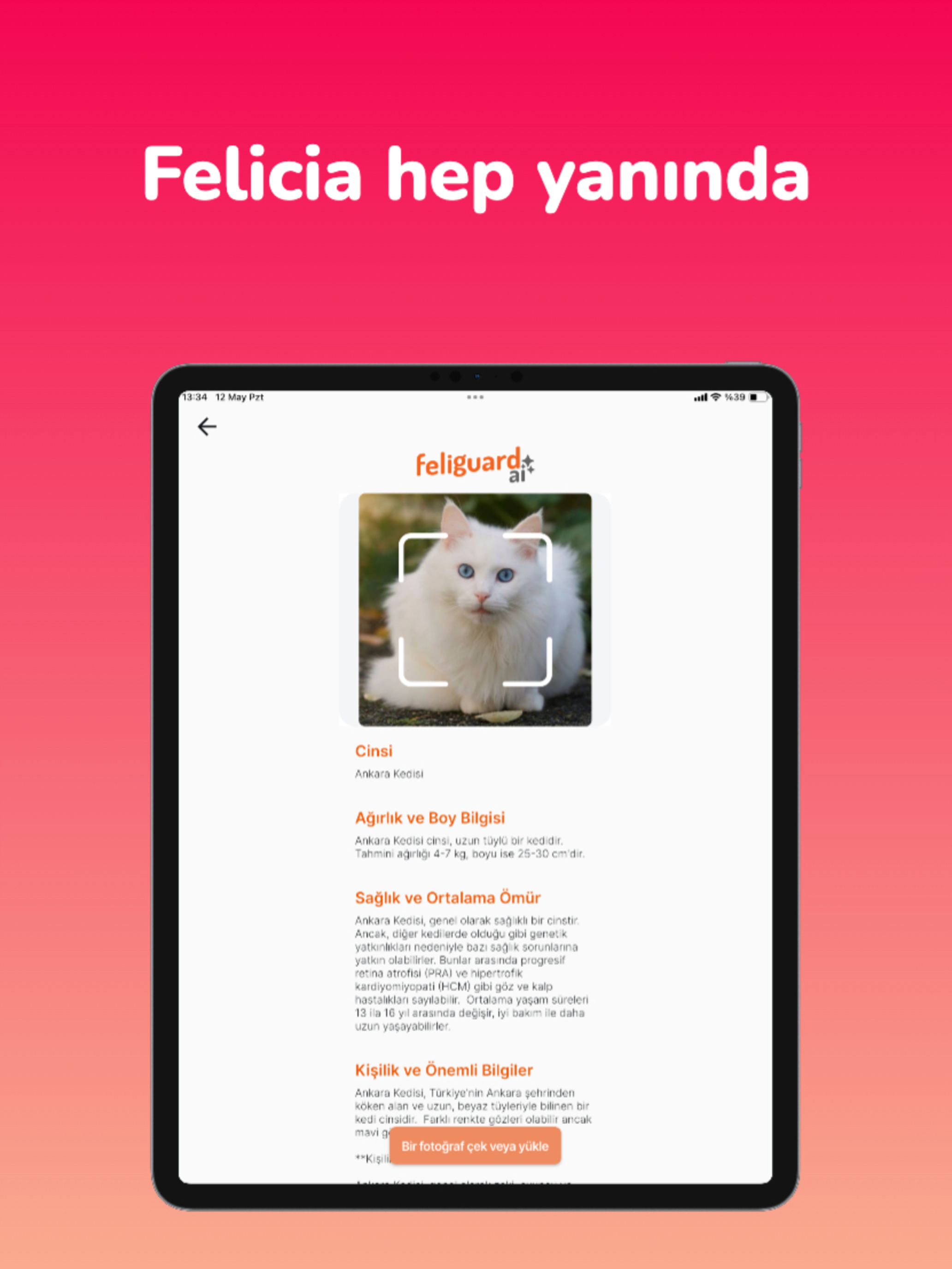 Feliguard by Felicia screenshot 10