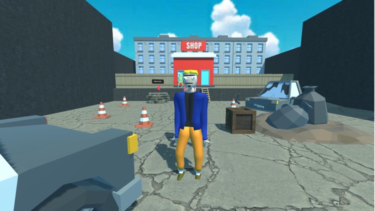 Schoolboy Ragdoll Playground