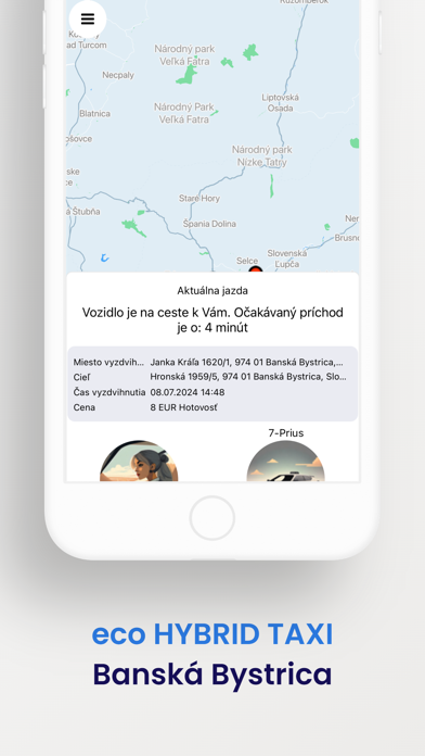 eco Hybrid Taxi Screenshot