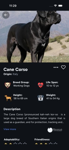 Dog Breed Scanner — DogPedia iPhone screenshot