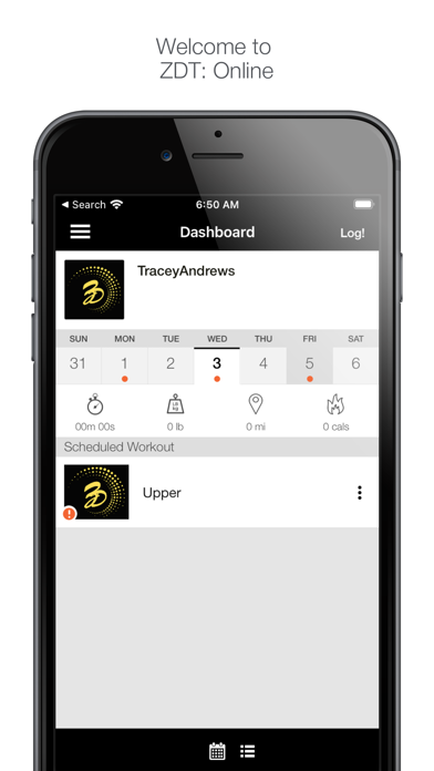 ZDT: Online Screenshot