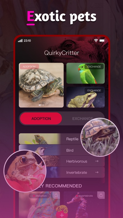 KiKi - Connect & Share screenshot-4