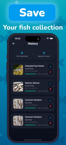 鱼类识别AI: AquaID screenshot