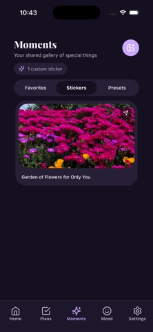 Syngo screenshot