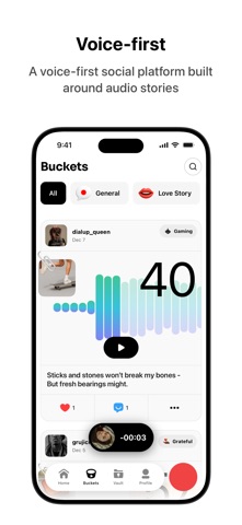 Vocial screenshot