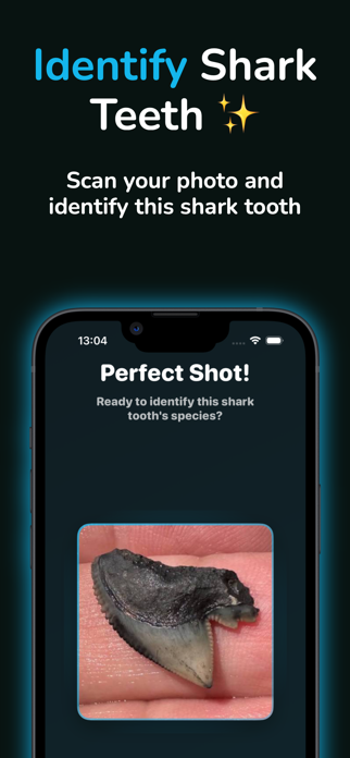 Shark Tooth Identifier Screenshot 4 of 4