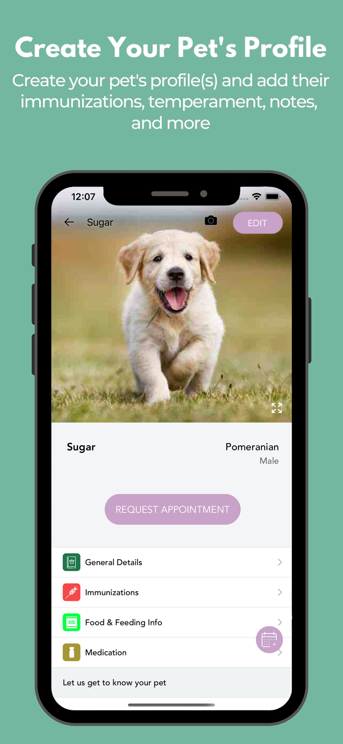 Pawsitive Vibes Pet Resort