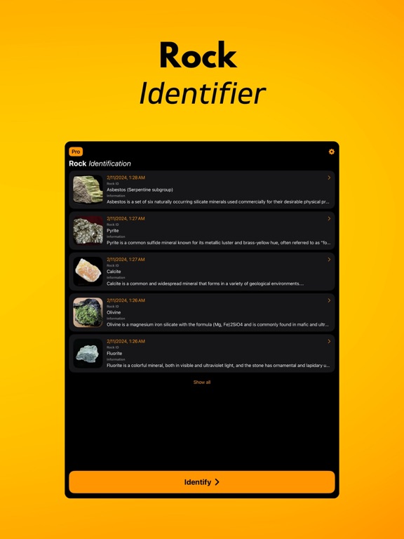 Rock Scanner: Stone Identifier iPad screenshot 2 - Reference app