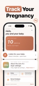 Baby Heartbeat & Kick Counter screenshot