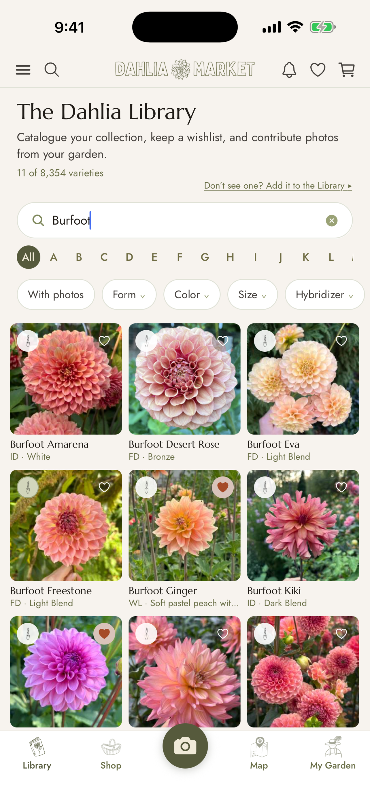 Dahlia Market screenshot 5