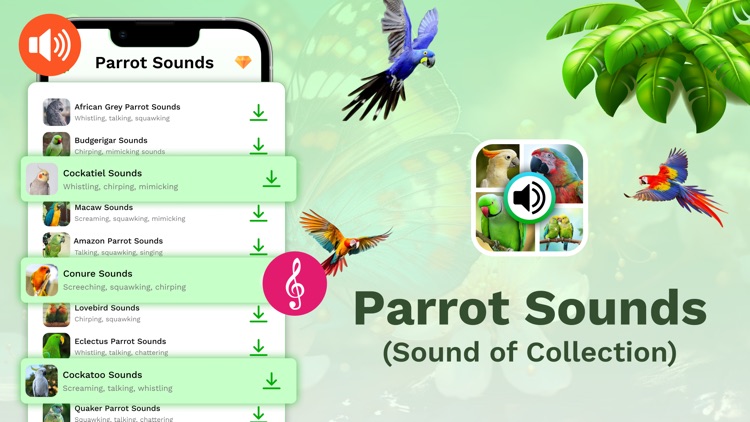 Parrot Sounds & 4K Wallpapers