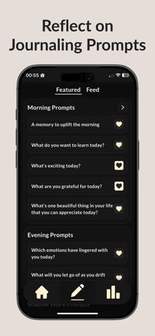 Reflector: Prompts & Progress screenshot