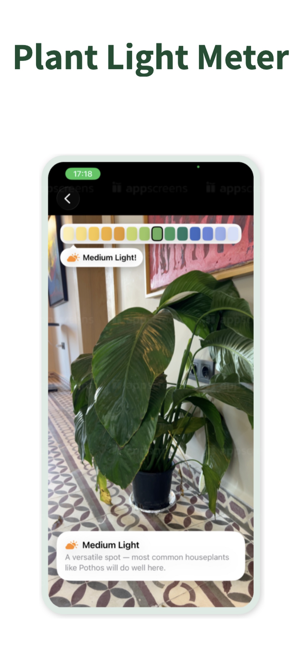 Screenshot 6 of Planto ID: Flower Identifier
