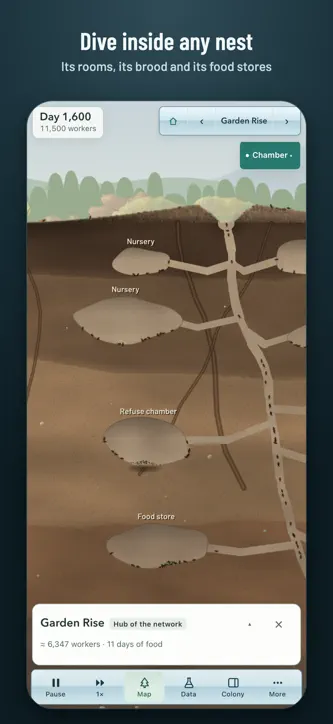 Ant Laboratory screenshot 5