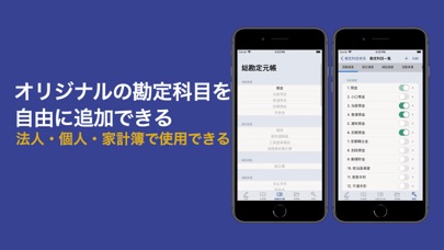 複式簿記で記帳する会計帳簿 Paciolistパチョーリ主義のスクリーンショット - 4