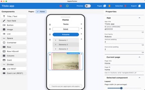 AppInFlutter screenshot