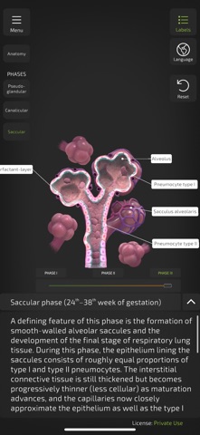 Insight NeoLung screenshot