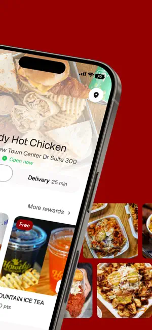 Howdy Hot Chicken To Go screenshot 2