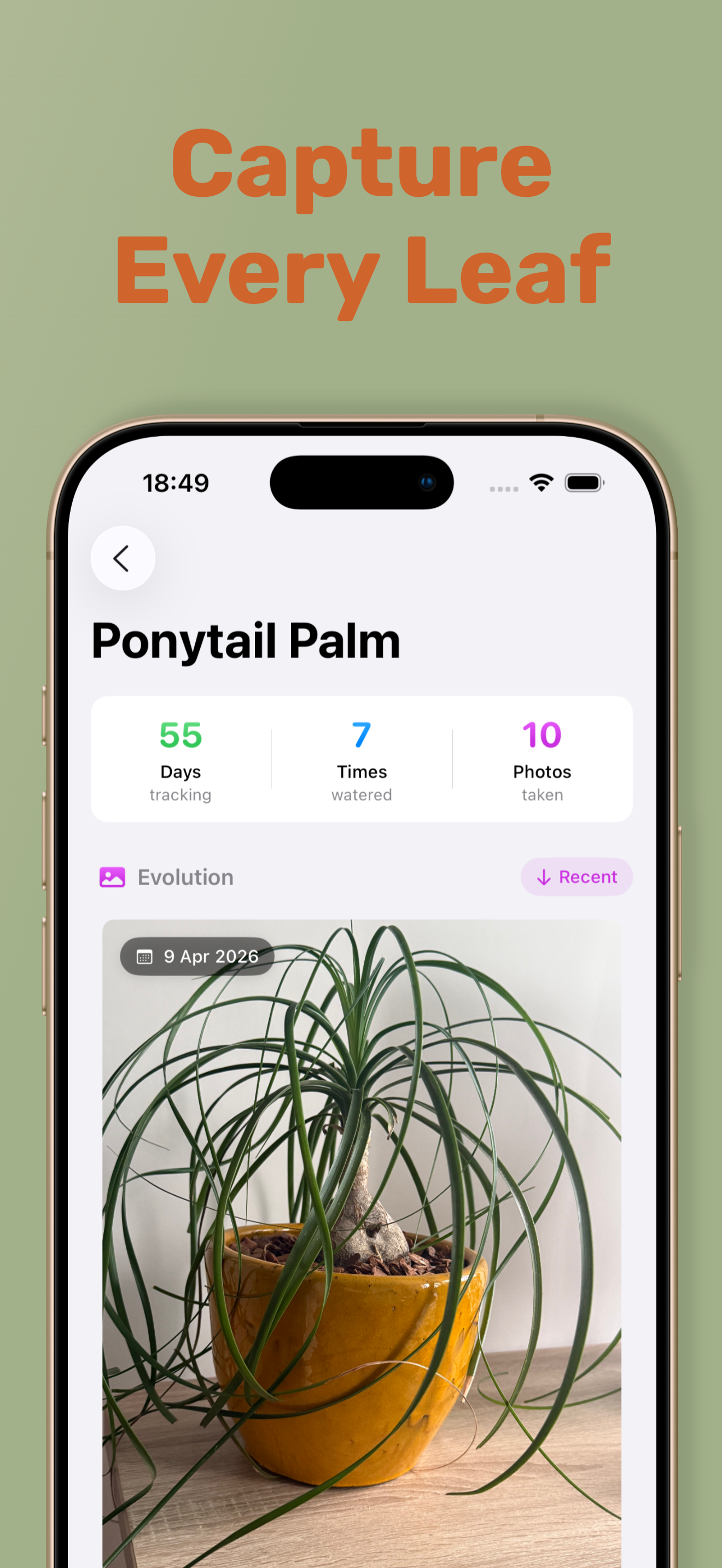 Brotto: Plant Growth Tracker