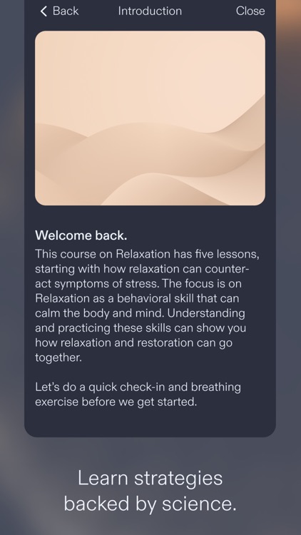 Demy™ screenshot-4