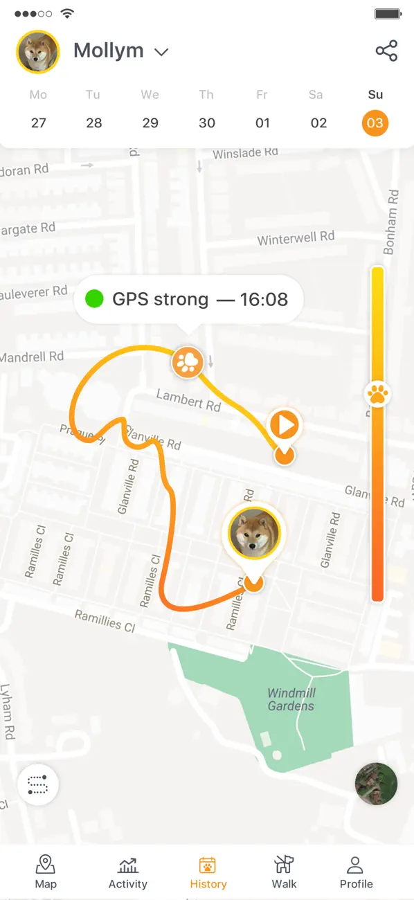 Screenshot #3 pour Pawfit