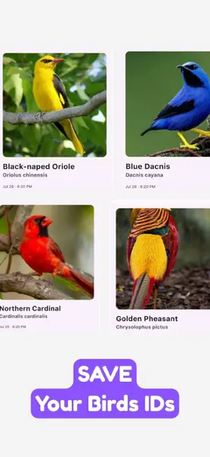 Bird Identifier - Quillix screenshot 3