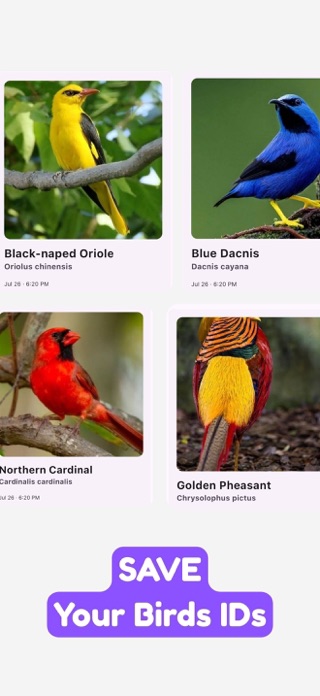 Bird Identifier - Quillix Screenshot 3 of 3