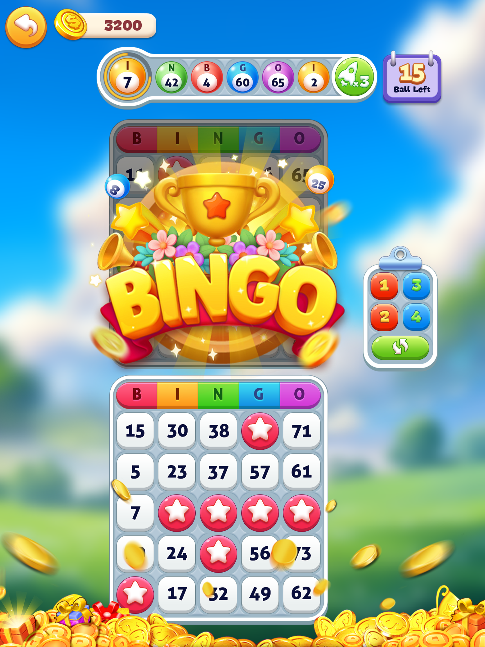 Bingo Bear : Fun Adventure